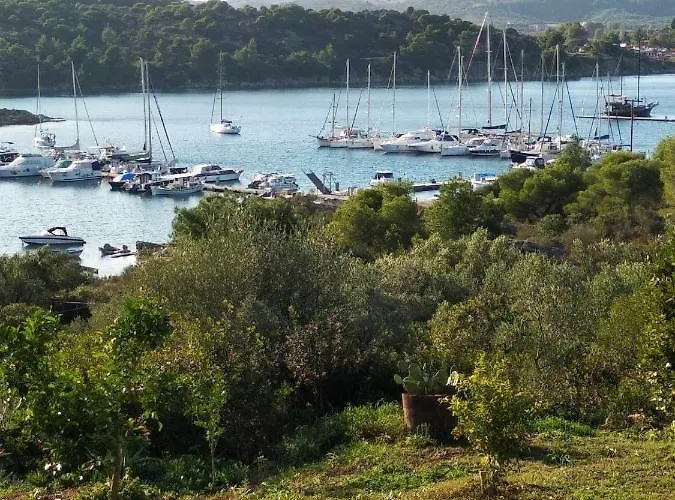 Ases Lagonisi Halkidiki *