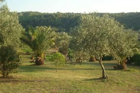 Ases Lagonisi Halkidiki