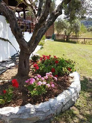Ases Lagonisi Halkidiki * Ормос-Панайяс