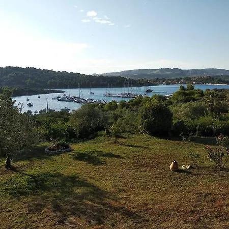 Ases Lagonisi Halkidiki
