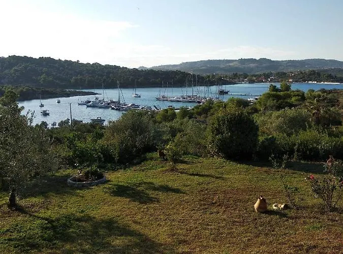 Ases Lagonisi Halkidiki